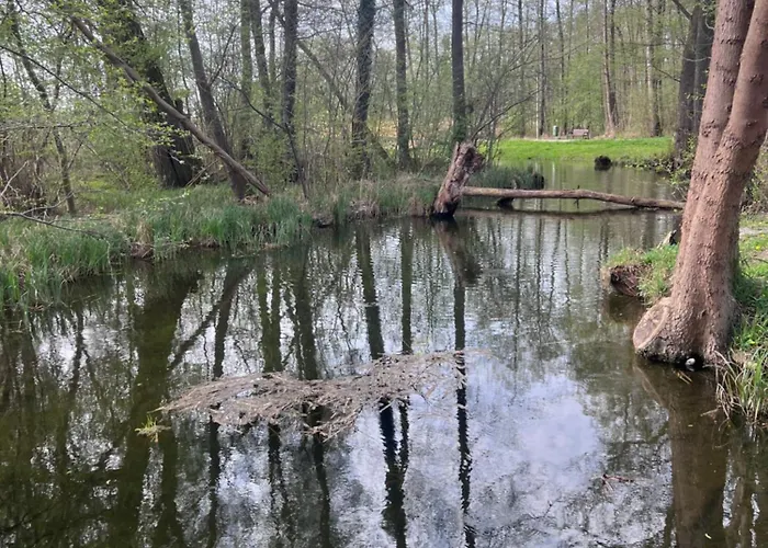 Na Wzgorzu * Chrzypsko Wielkie