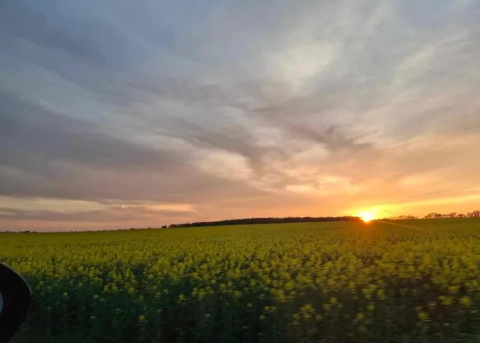 Na Wzgorzu Chrzypsko Wielkie